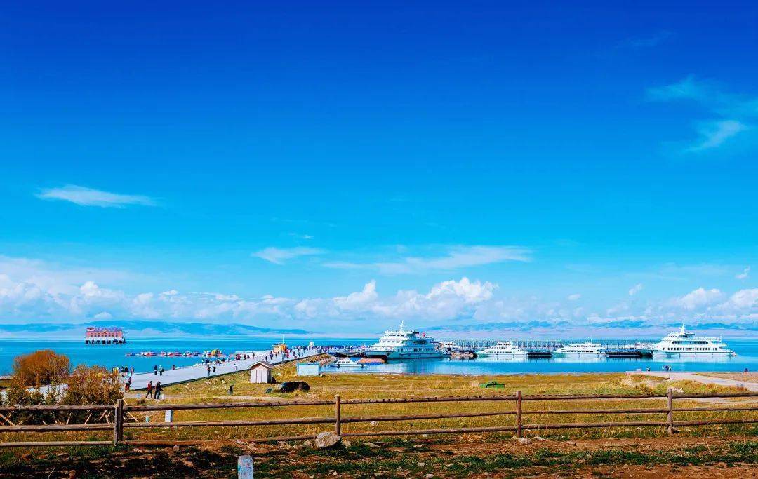 青海，深度解读高原魅力与独特风情评论文章