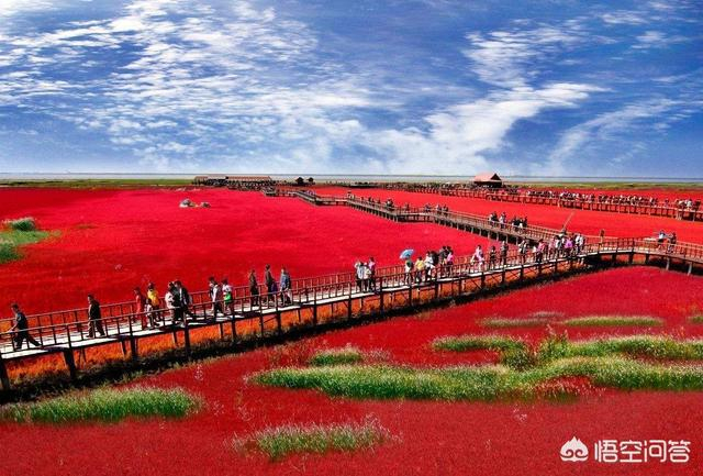 盘锦，美丽土地的独特魅力🌿