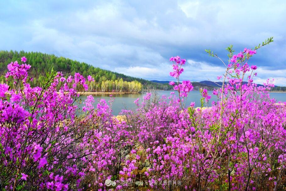 呼伦贝尔风情盛宴，主持人引领启航